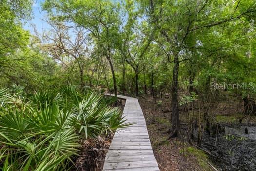 248 BRONCO, ZOLFO SPRINGS, FL, 33890