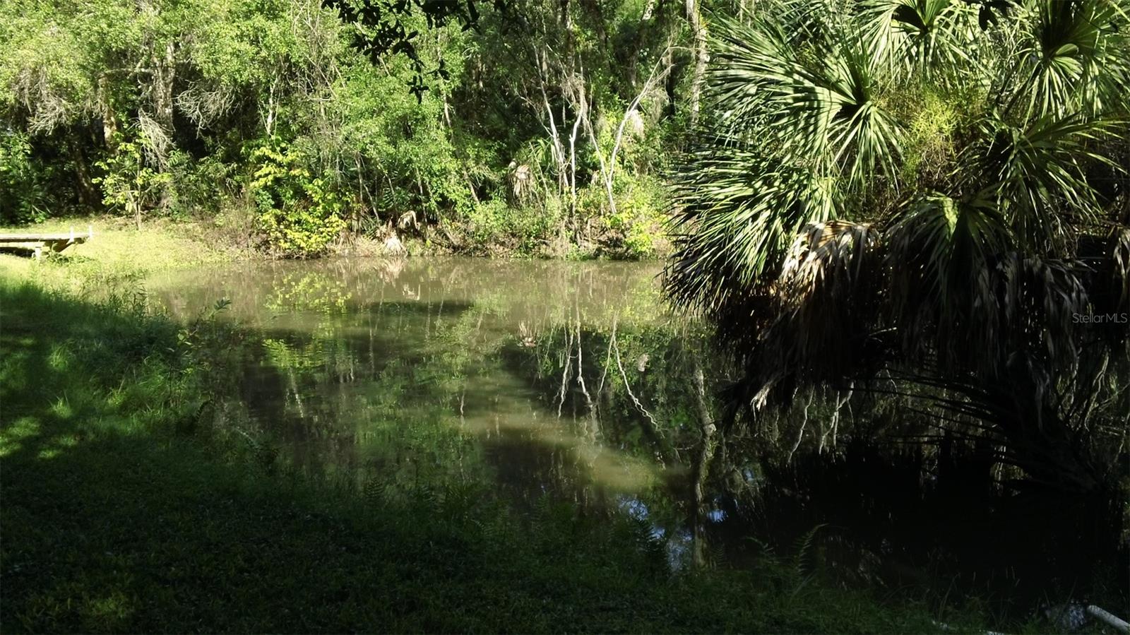 248 BRONCO, ZOLFO SPRINGS, FL, 33890