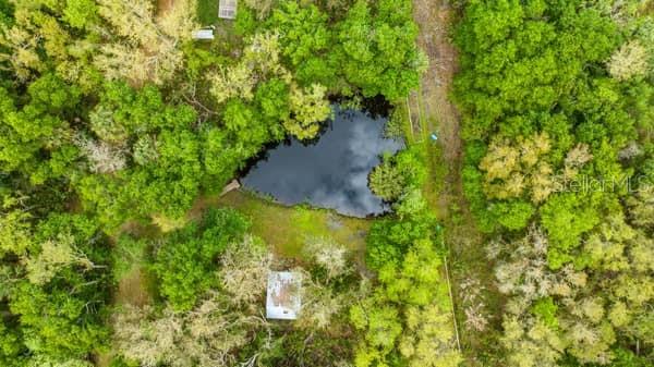 248 BRONCO, ZOLFO SPRINGS, FL, 33890