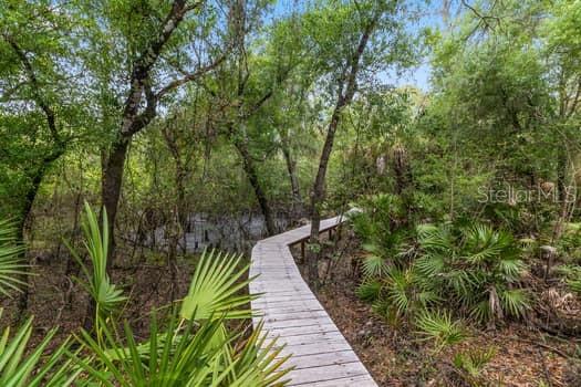 248 BRONCO, ZOLFO SPRINGS, FL, 33890
