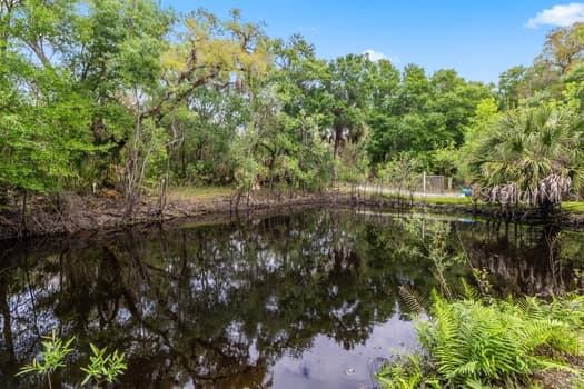 248 BRONCO, ZOLFO SPRINGS, FL, 33890