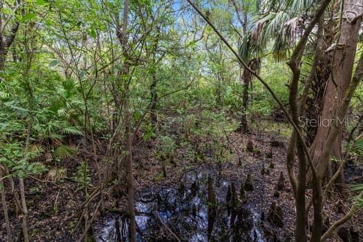 248 BRONCO, ZOLFO SPRINGS, FL, 33890