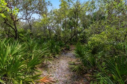 248 BRONCO, ZOLFO SPRINGS, FL, 33890