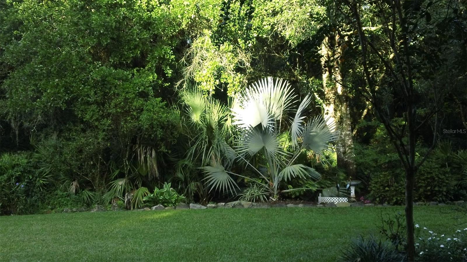248 BRONCO, ZOLFO SPRINGS, FL, 33890