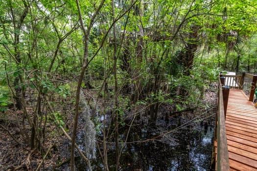 248 BRONCO, ZOLFO SPRINGS, FL, 33890
