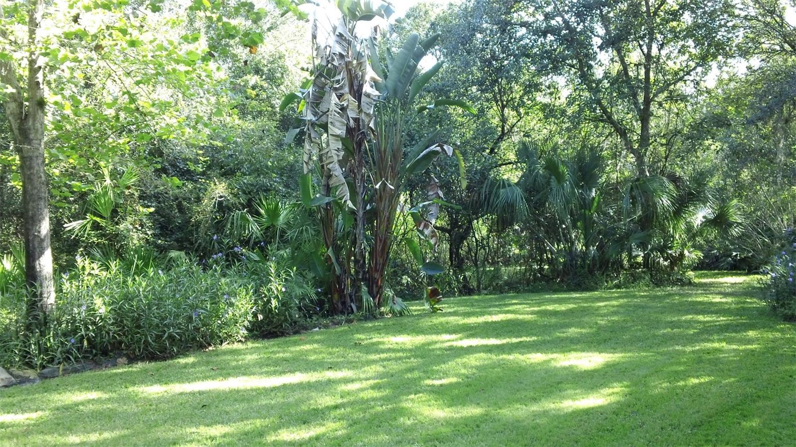 248 BRONCO, ZOLFO SPRINGS, FL, 33890