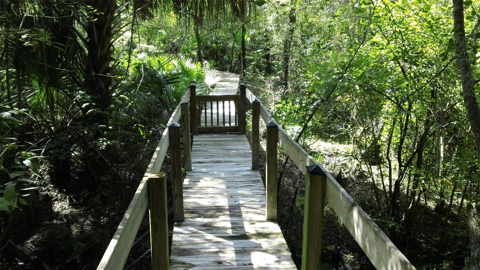 248 BRONCO, ZOLFO SPRINGS, FL, 33890