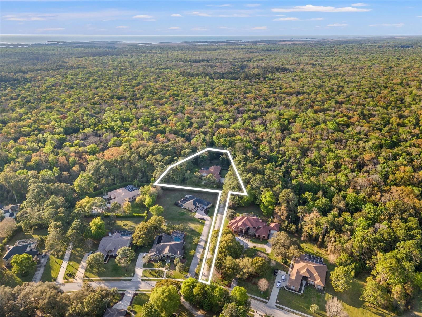 7397 ROYAL OAK DR, SPRING HILL, FL, 34607