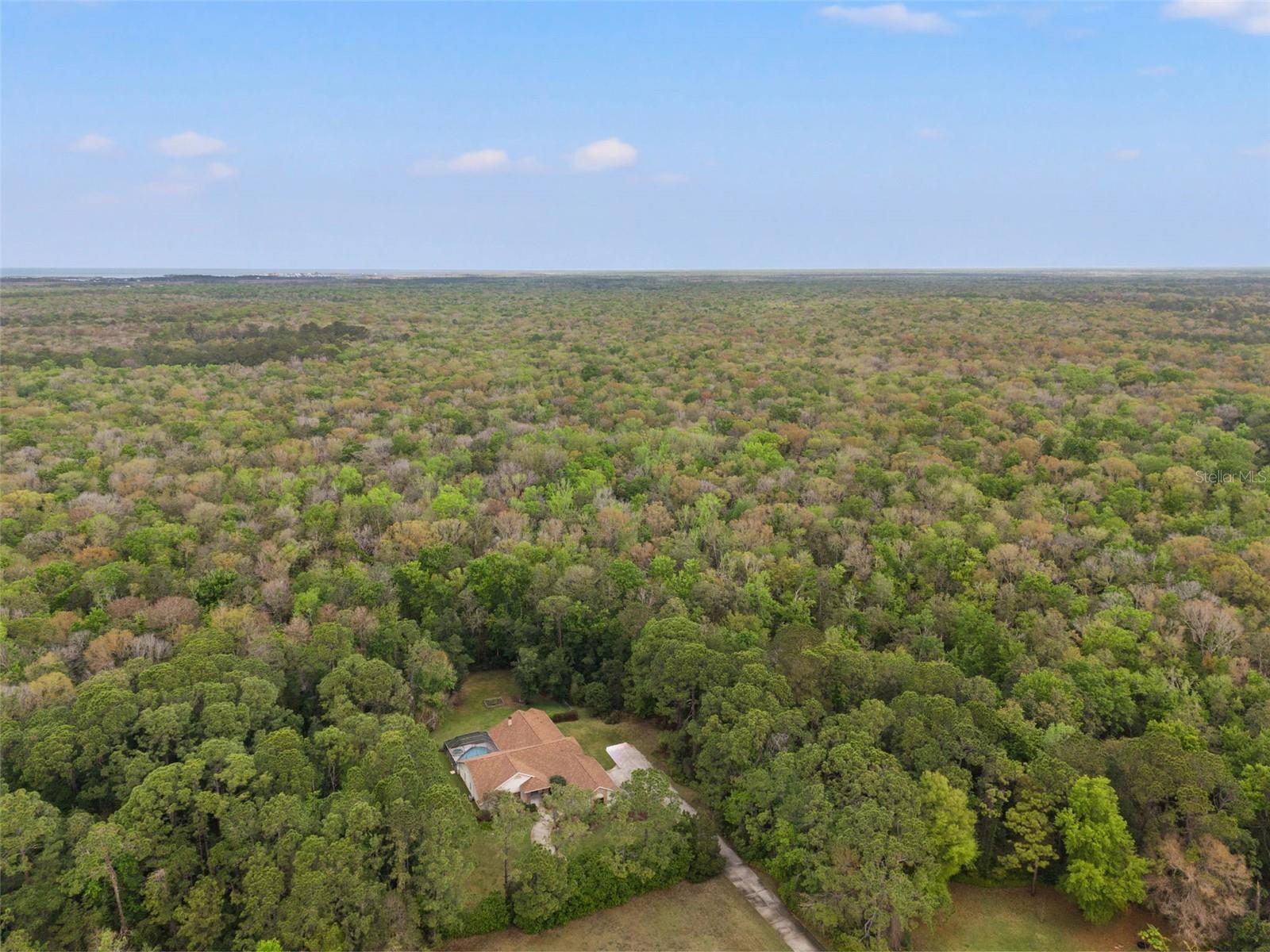 7397 ROYAL OAK DR, SPRING HILL, FL, 34607