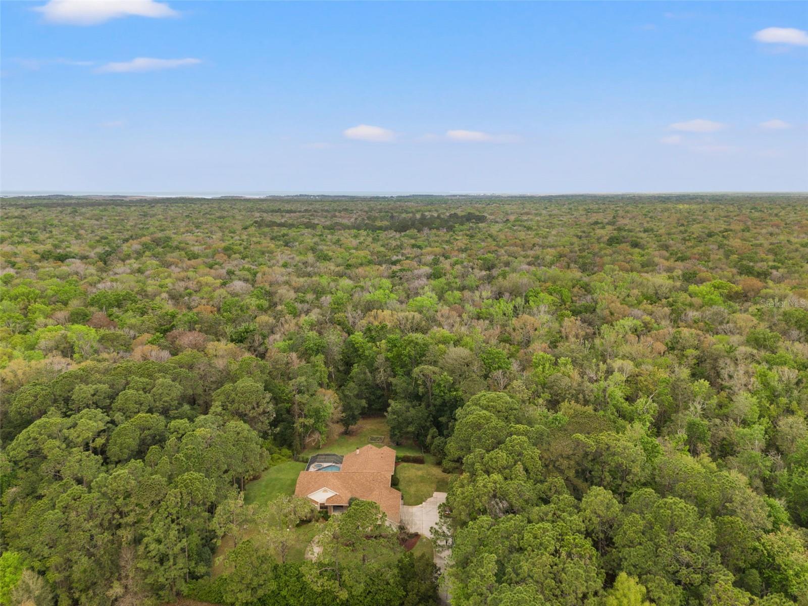 7397 ROYAL OAK DR, SPRING HILL, FL, 34607