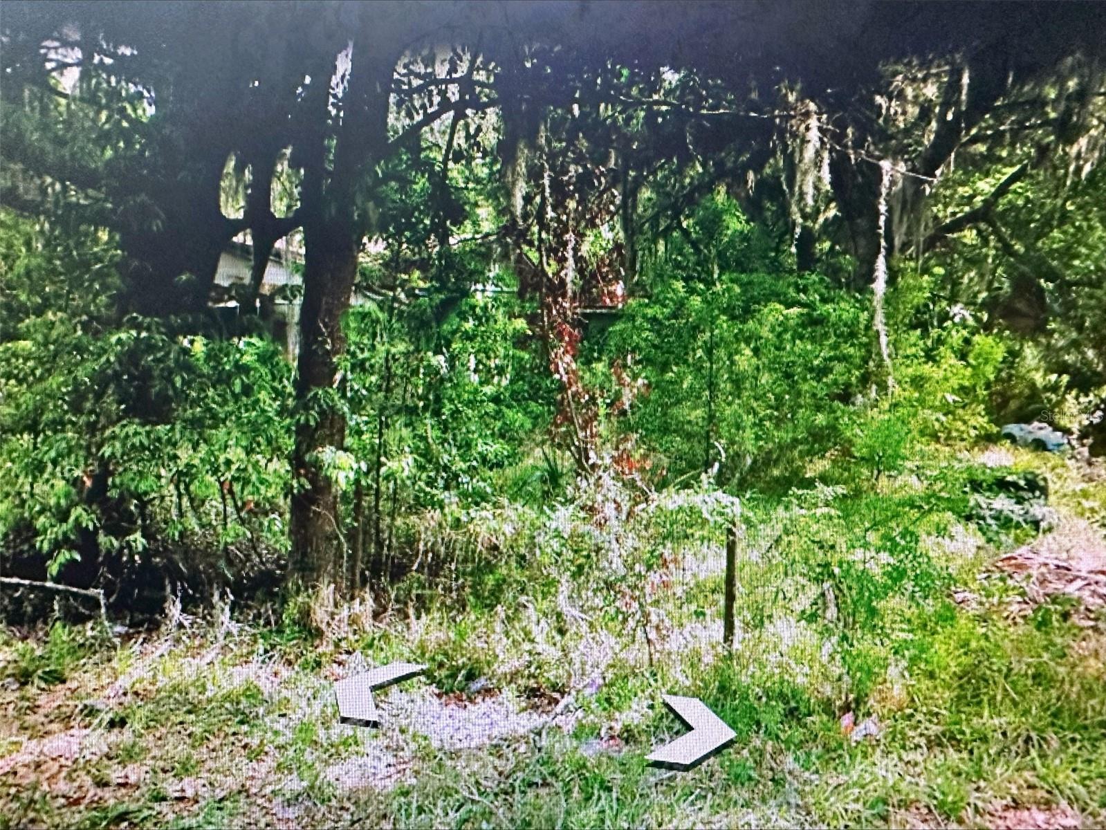 409 W TOWLES AVE, PALATKA, FL, 32177