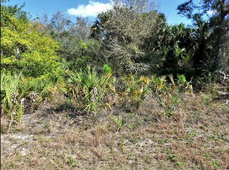 NORTON DR, NORTH PORT, FL, 34288