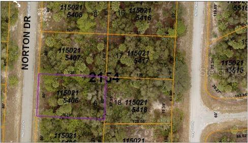 NORTON DR, NORTH PORT, FL, 34288