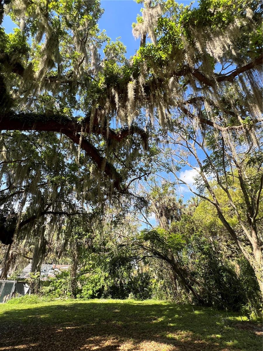 MADISON PL, DELTONA, FL, 32725