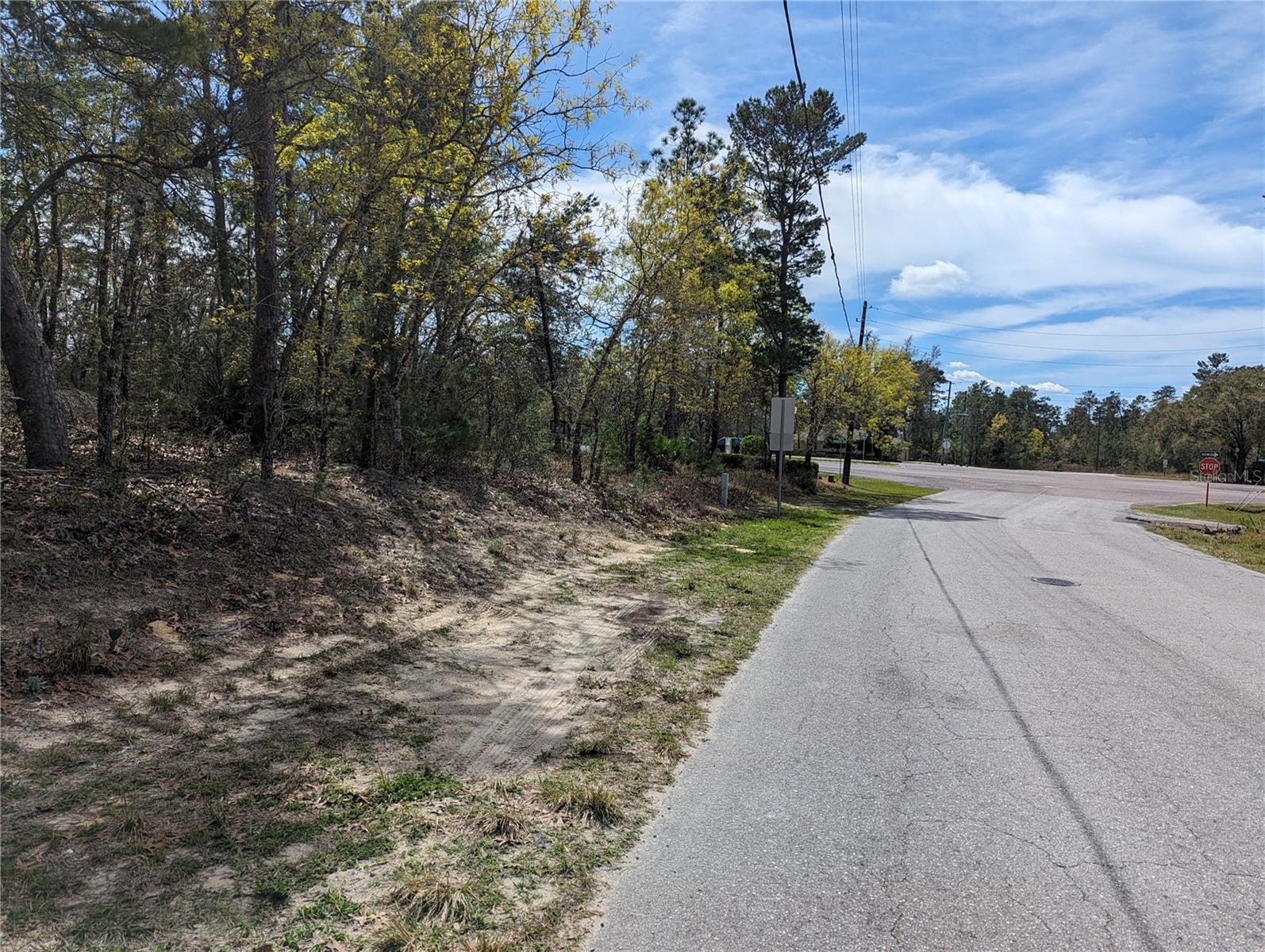 4 LONE PINE ST, HOMOSASSA, FL, 34446
