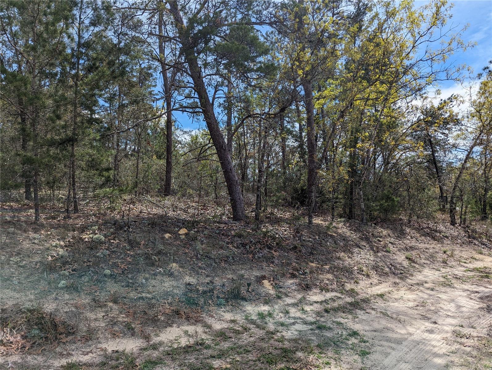 4 LONE PINE ST, HOMOSASSA, FL, 34446