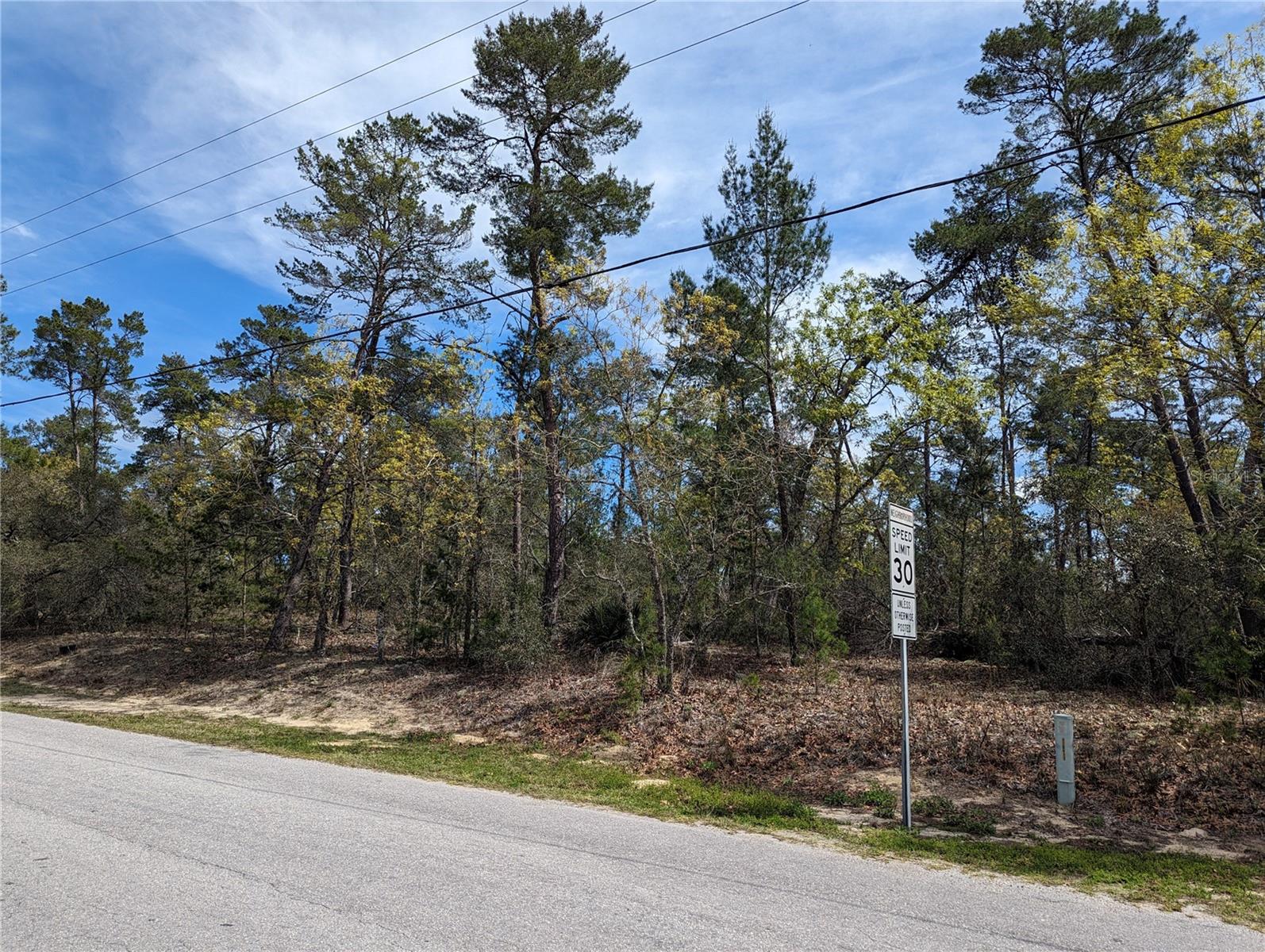 4 LONE PINE ST, HOMOSASSA, FL, 34446