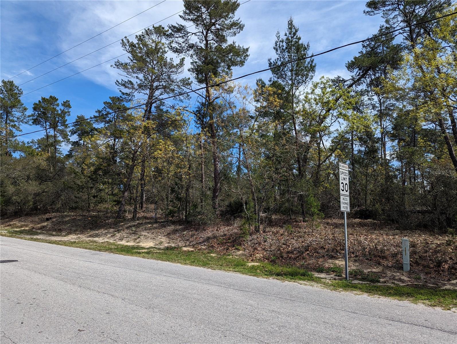 4 LONE PINE ST, HOMOSASSA, FL, 34446