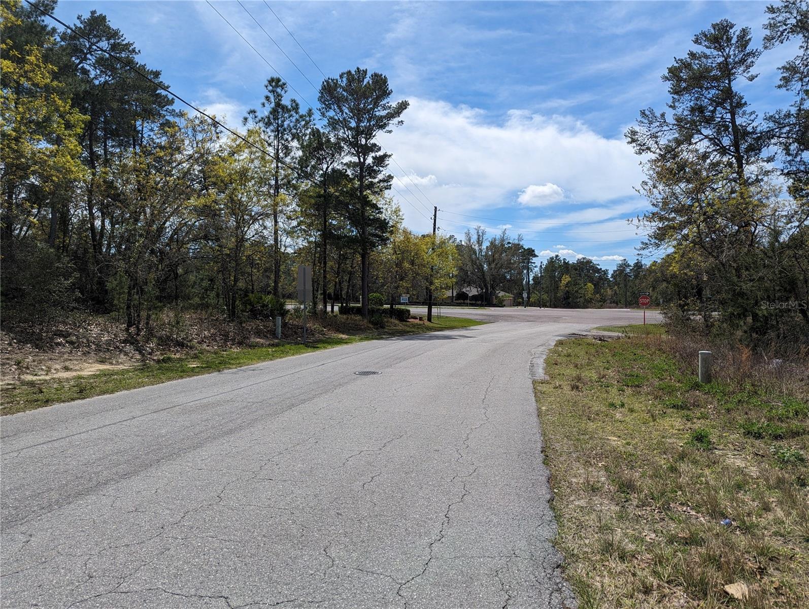4 LONE PINE ST, HOMOSASSA, FL, 34446