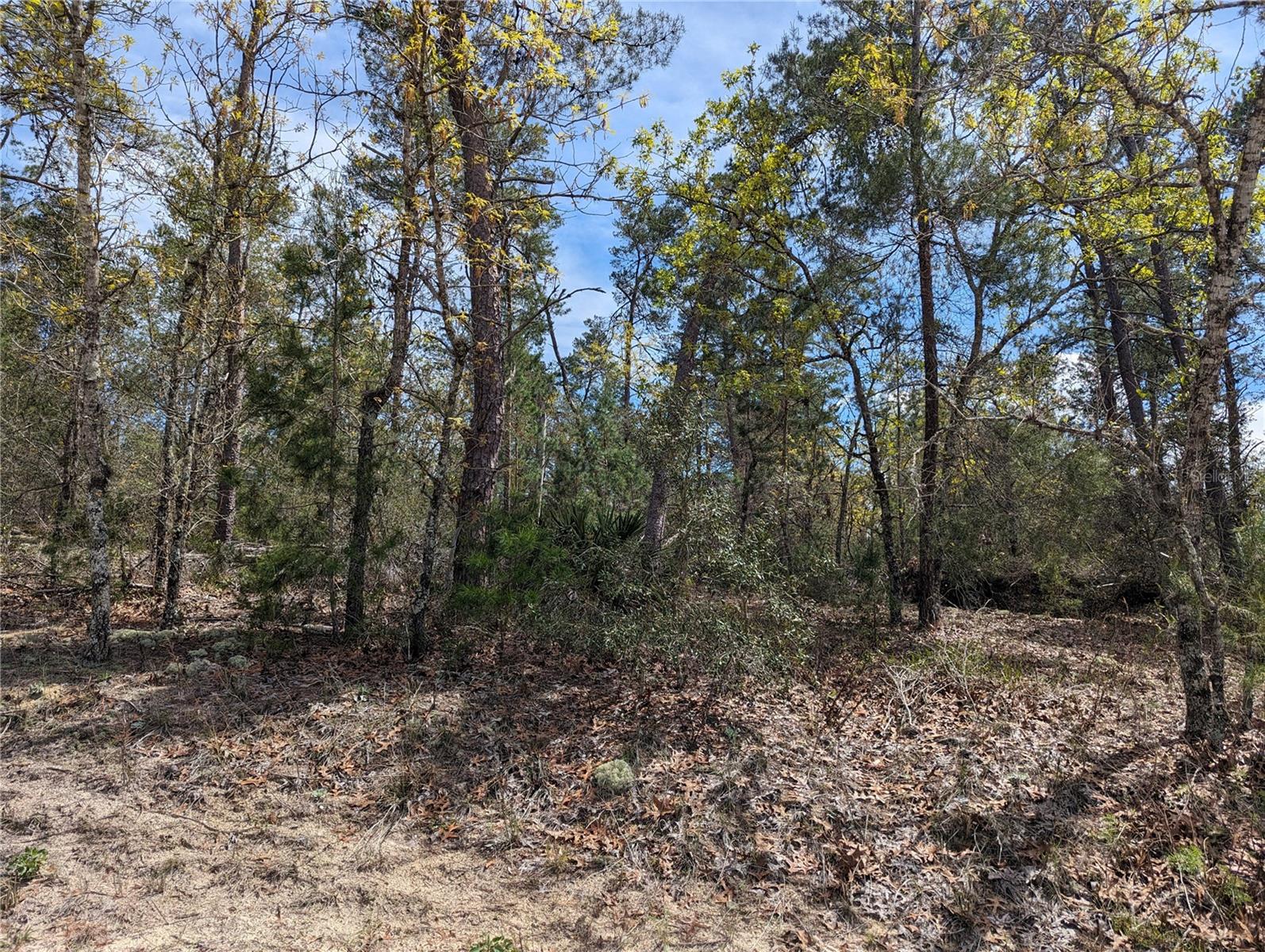 4 LONE PINE ST, HOMOSASSA, FL, 34446