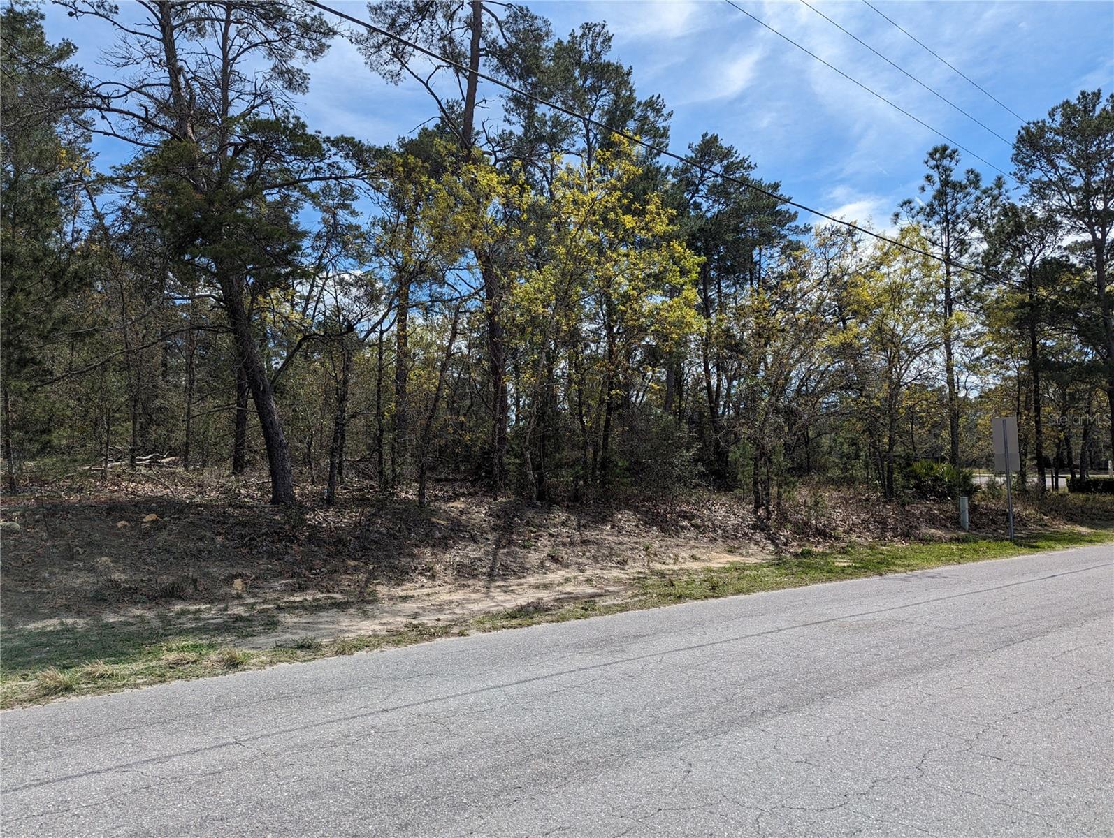 4 LONE PINE ST, HOMOSASSA, FL, 34446