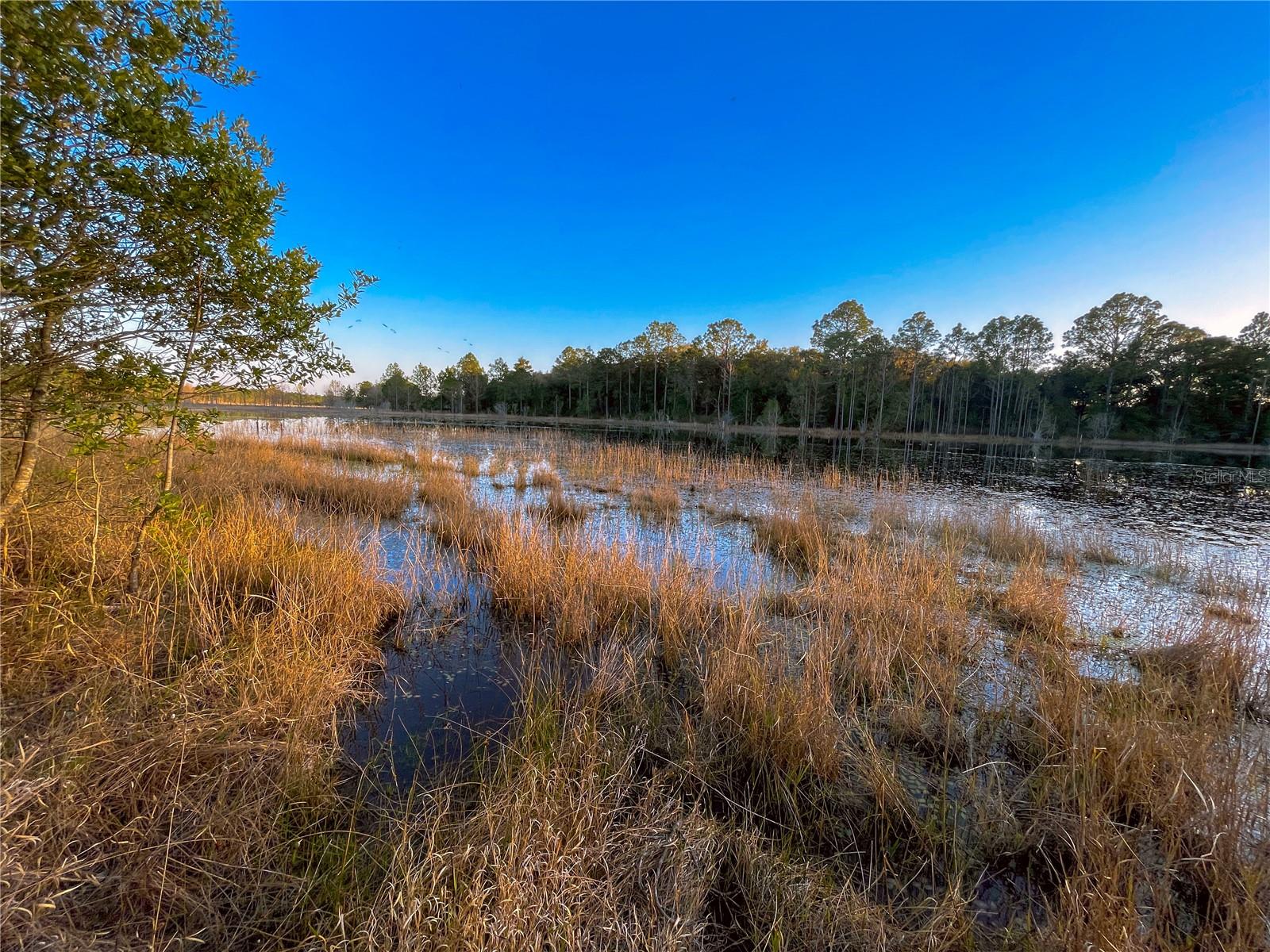 10851 SE 190TH CT, OCKLAWAHA, FL, 32179