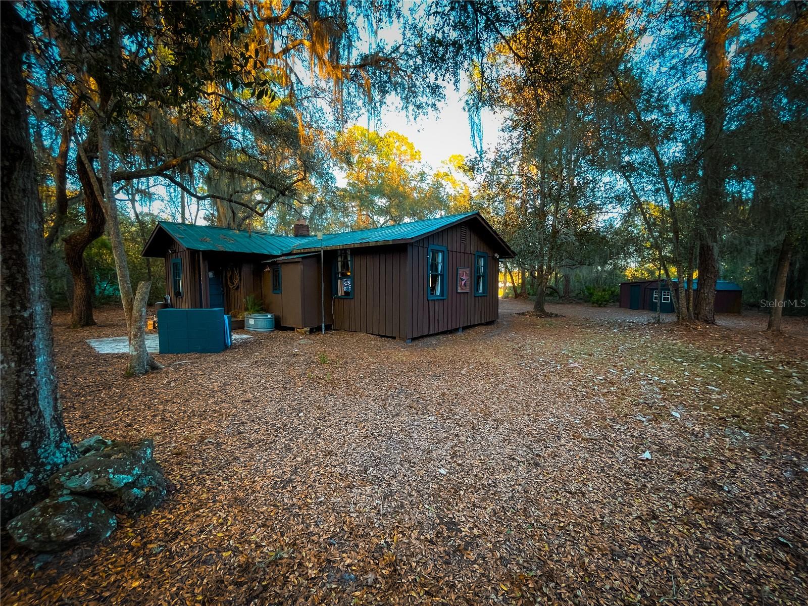 10851 SE 190TH CT, OCKLAWAHA, FL, 32179