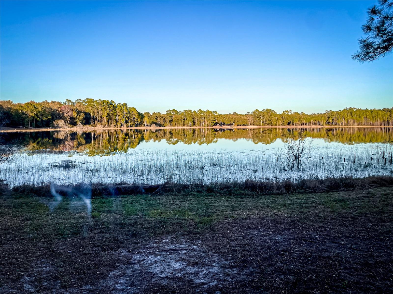 10851 SE 190TH CT, OCKLAWAHA, FL, 32179