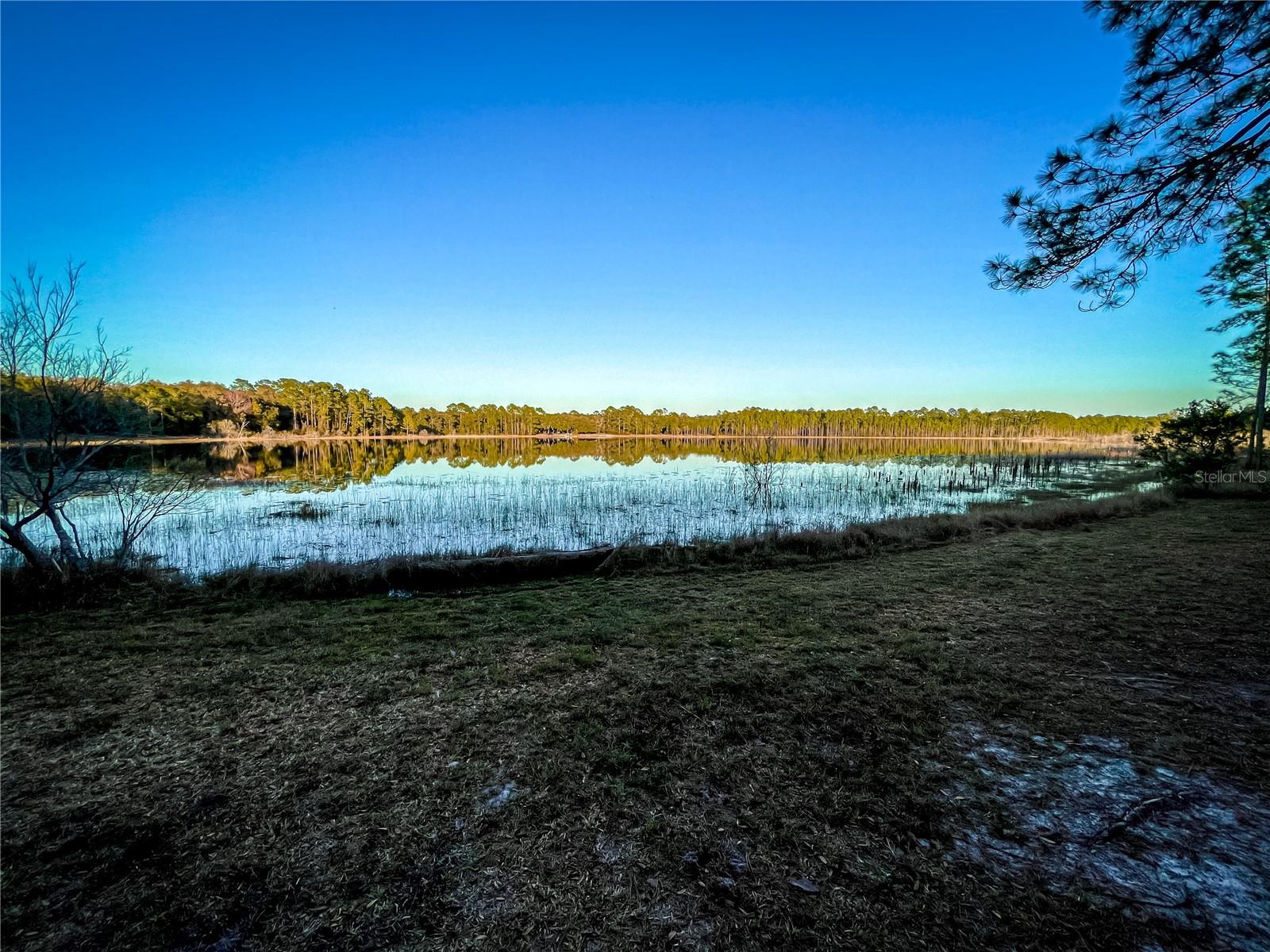 10851 SE 190TH CT, OCKLAWAHA, FL, 32179