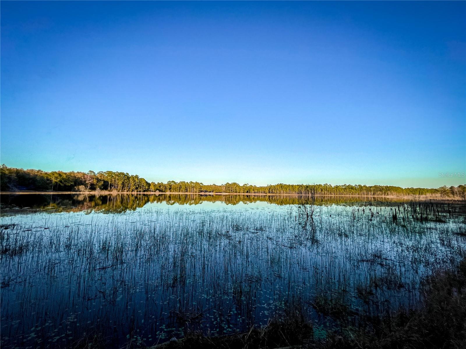 10851 SE 190TH CT, OCKLAWAHA, FL, 32179