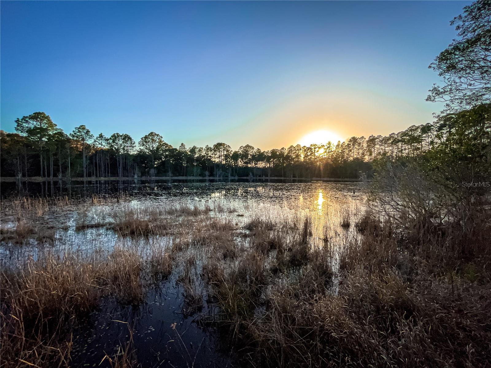 10851 SE 190TH CT, OCKLAWAHA, FL, 32179