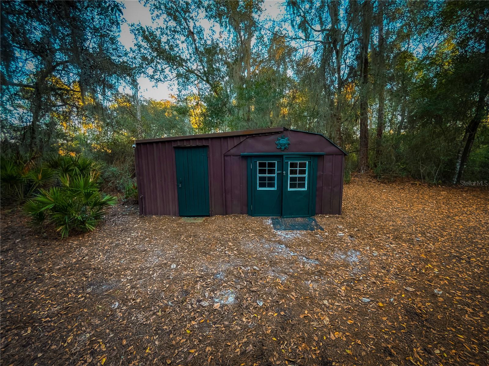 10851 SE 190TH CT, OCKLAWAHA, FL, 32179