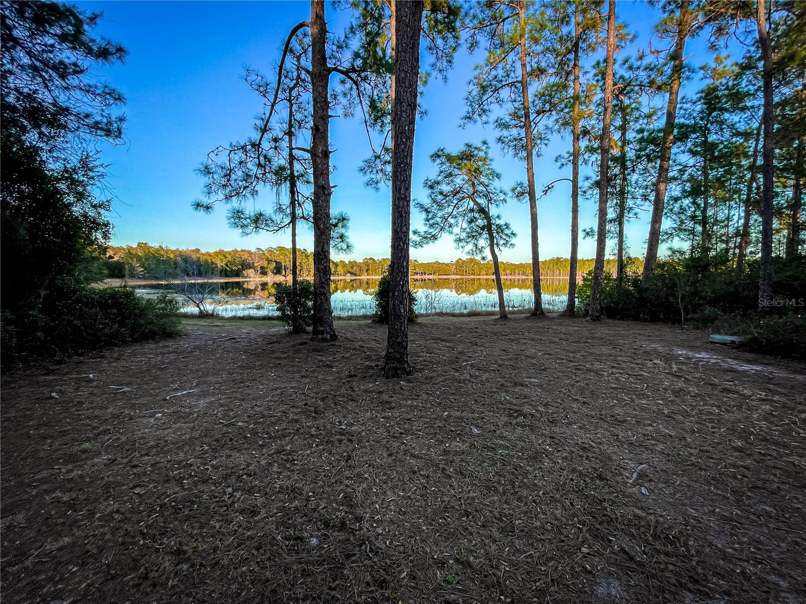 10851 SE 190TH CT, OCKLAWAHA, FL, 32179