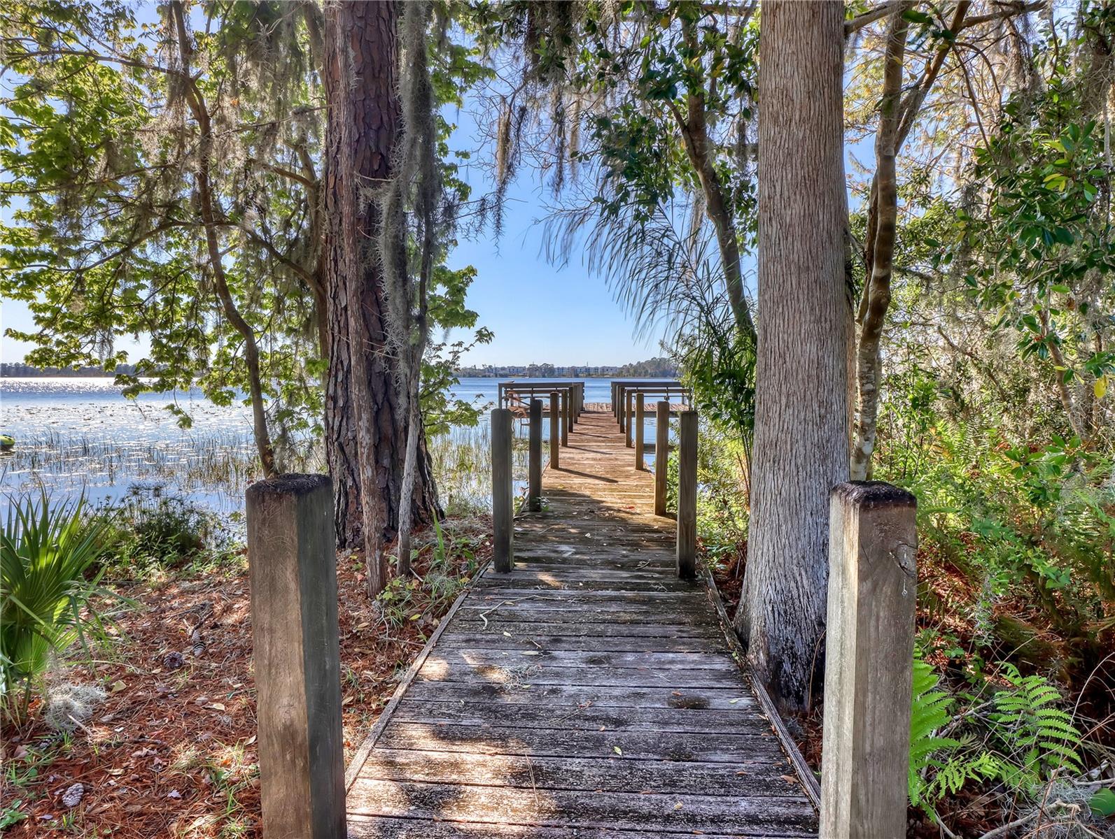 12012 BETTY ANN DR, ORLANDO, FL, 32832