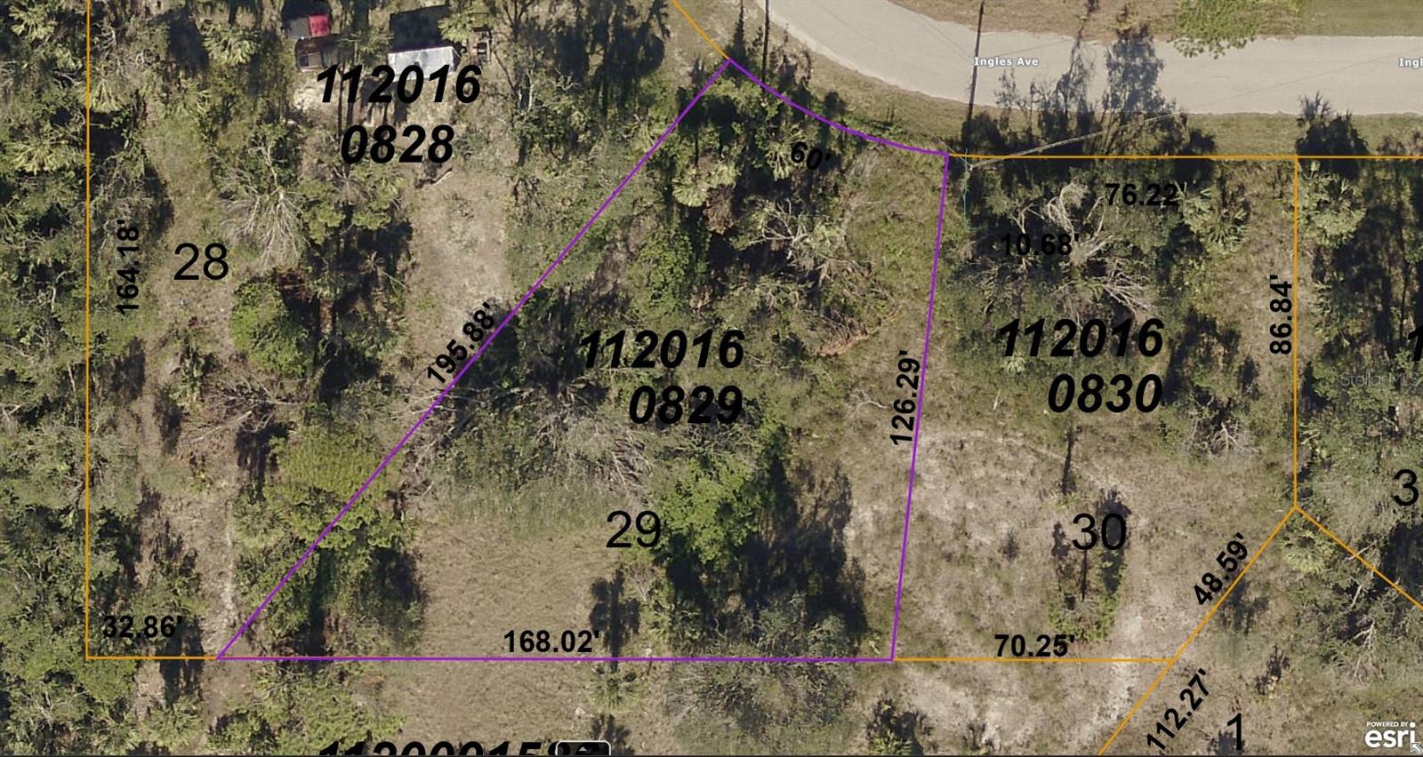 1120160829 INGLES AVE, NORTH PORT, FL, 34288