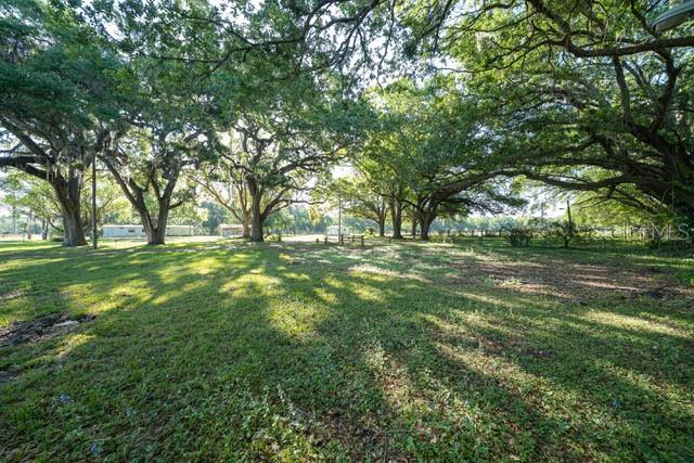 3146 MOUNT TABOR RD, LAKELAND, FL, 33810