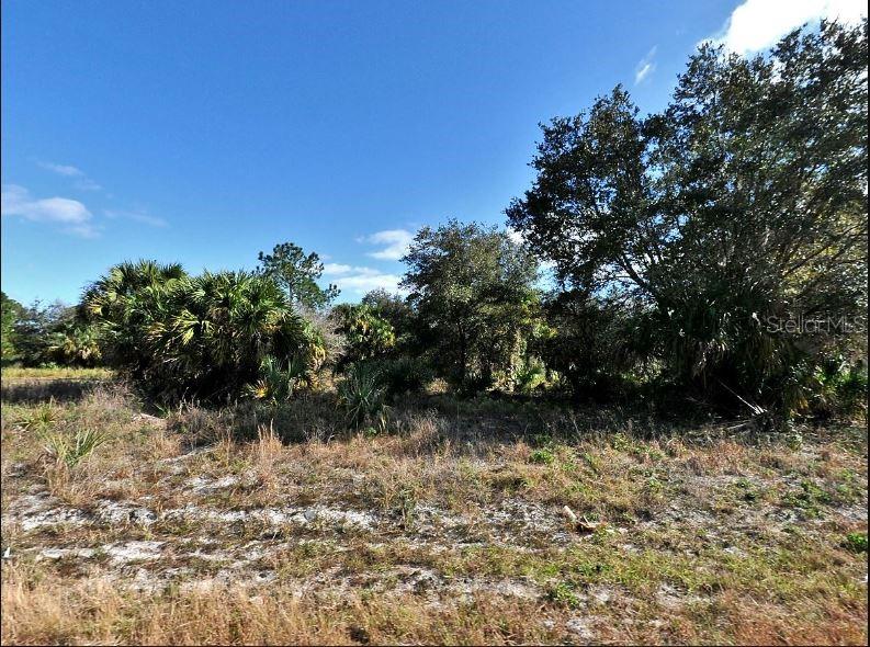 PENNY CIR, NORTH PORT, FL, 34288
