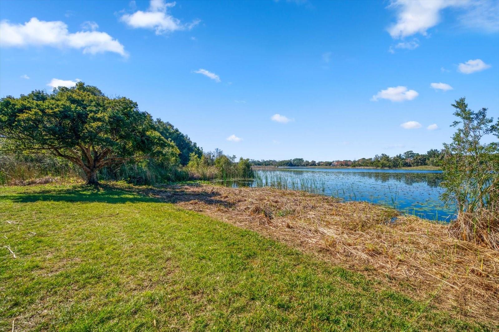 2850 SUNSTREAM LN, CLEARWATER, FL, 33759