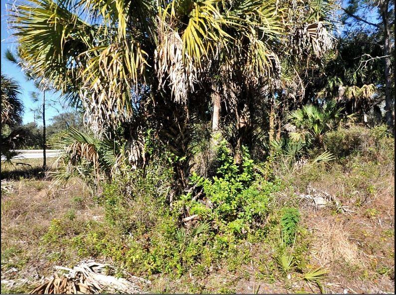KALISH AVE, NORTH PORT, FL, 34286