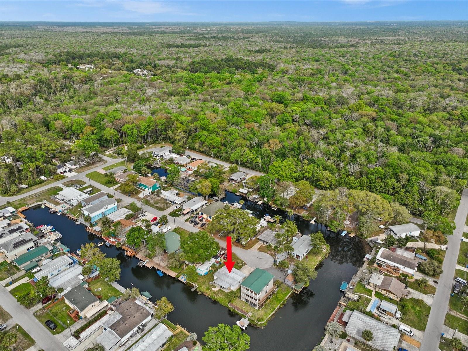 7255 ARBORDALE DR, WEEKI WACHEE, FL, 34607