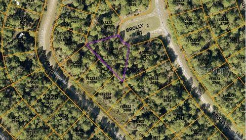 BROLLY ST, NORTH PORT, FL, 34288