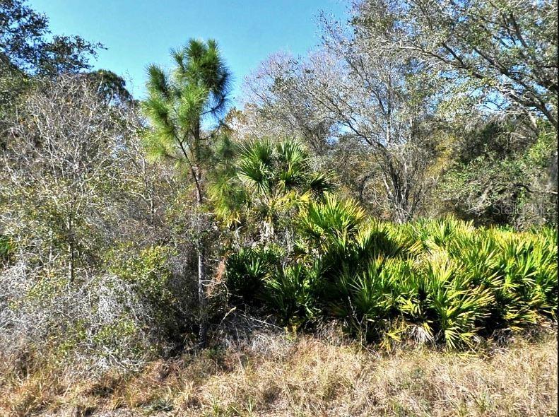 NORTON DR, NORTH PORT, FL, 34288