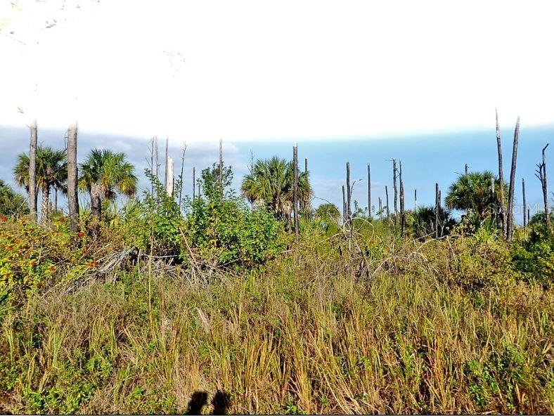 DEVONIA CIR, NORTH PORT, FL, 34288