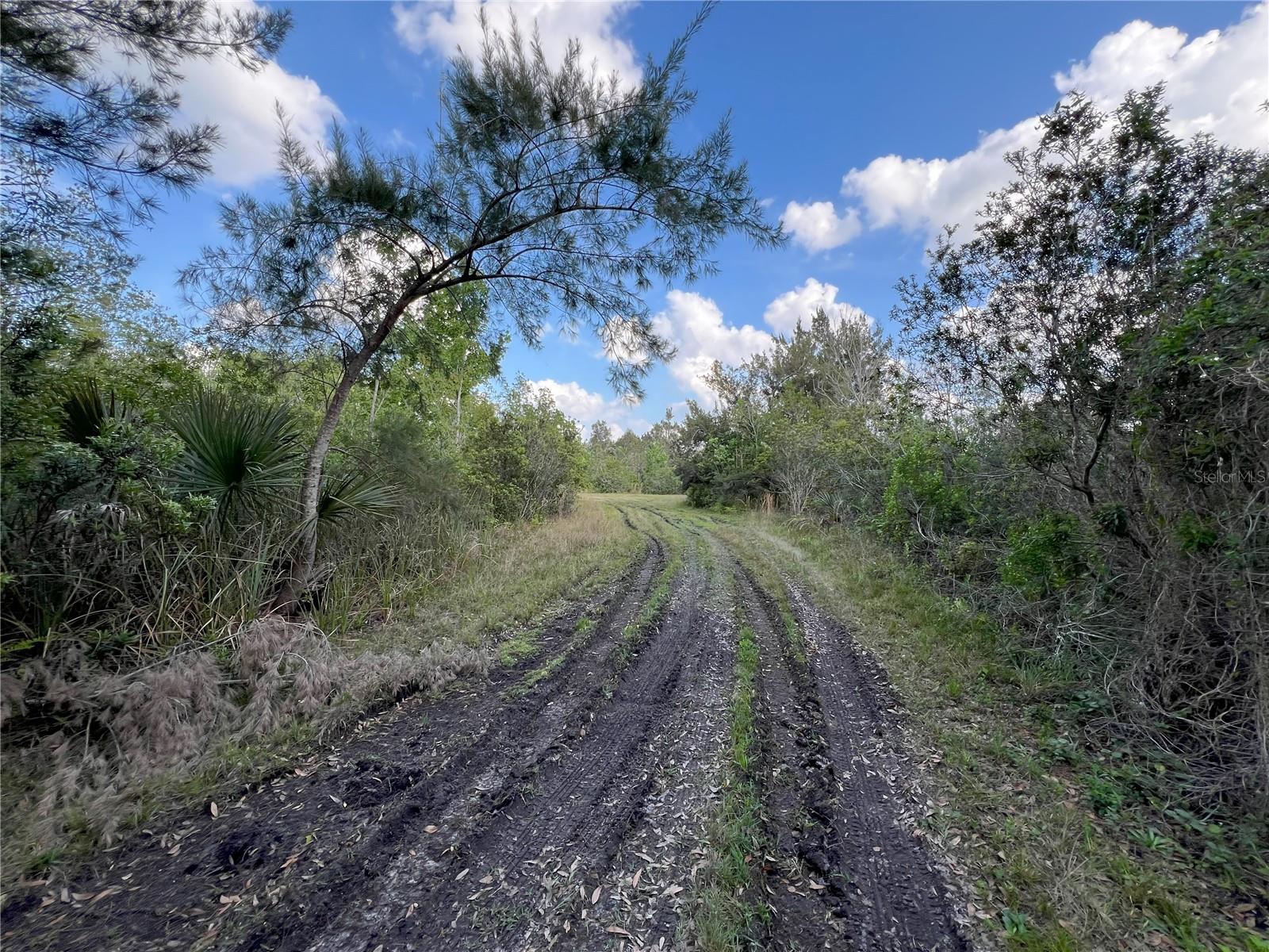 2801 EUNICE AVE, ORLANDO, FL, 32808
