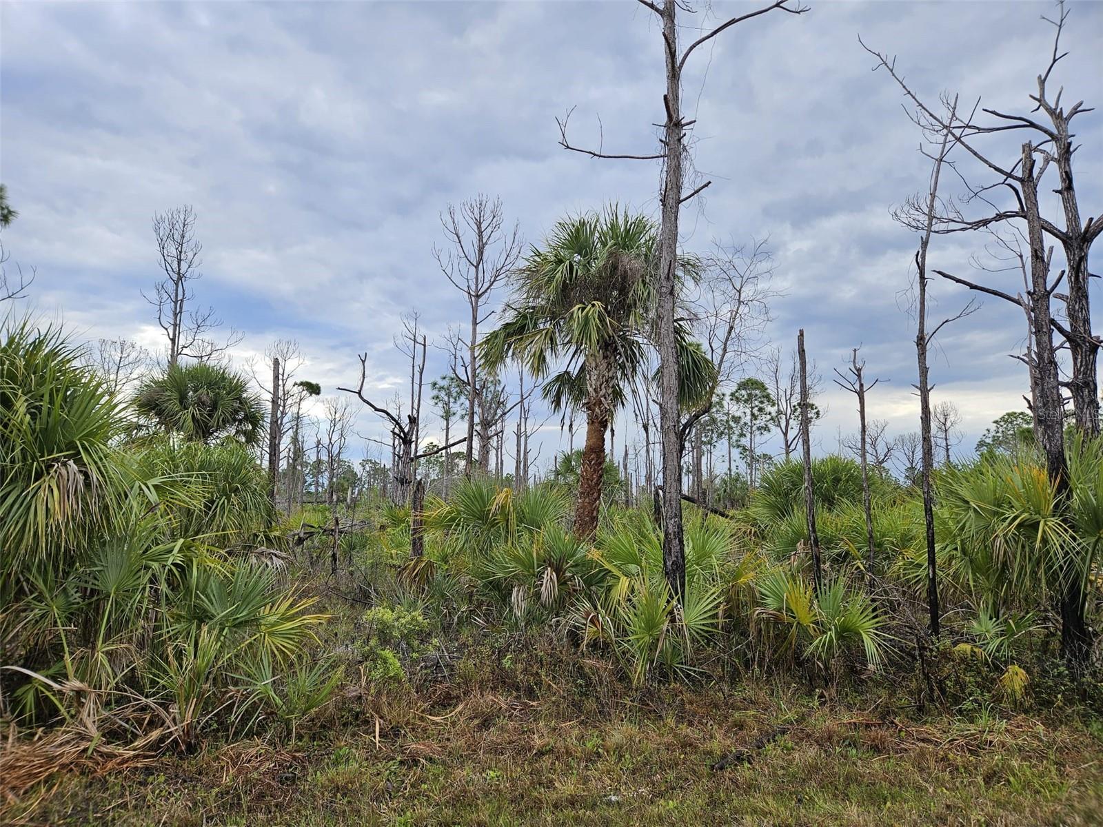 8228 LEAFY WAY, PORT CHARLOTTE, FL, 33981