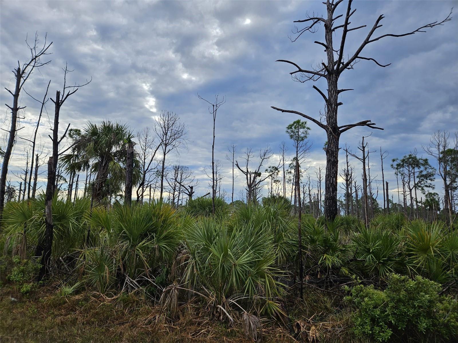 8228 LEAFY WAY, PORT CHARLOTTE, FL, 33981