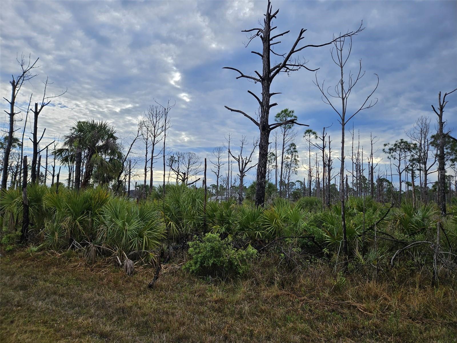 8228 LEAFY WAY, PORT CHARLOTTE, FL, 33981