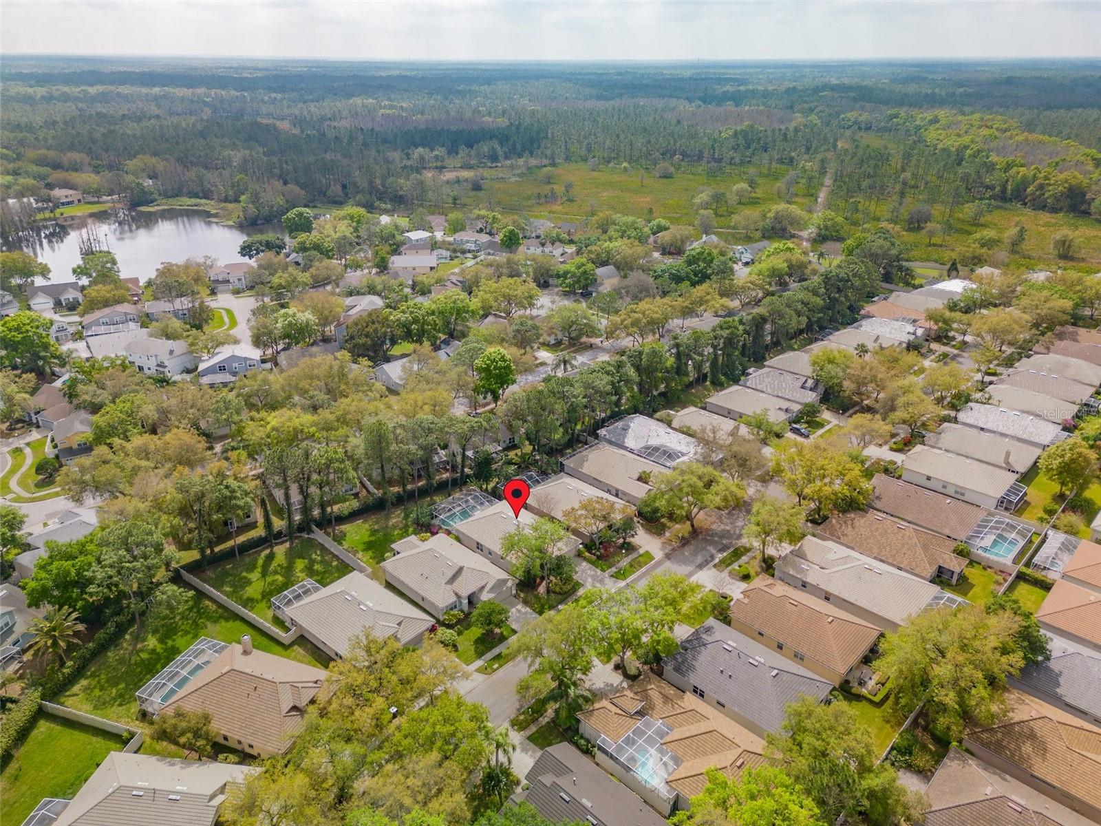 17618 NATHANS DR, TAMPA, FL, 33647