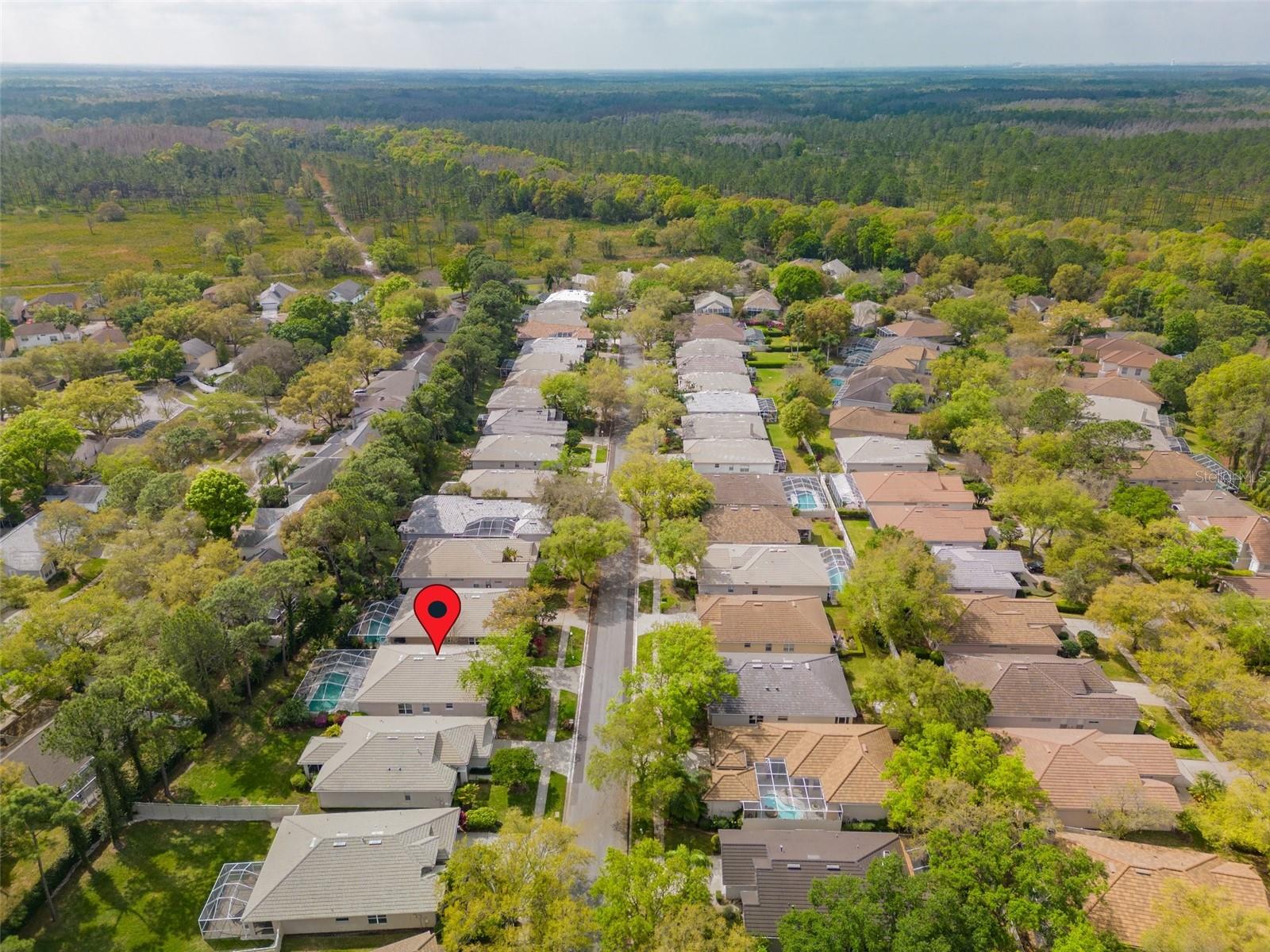 17618 NATHANS DR, TAMPA, FL, 33647