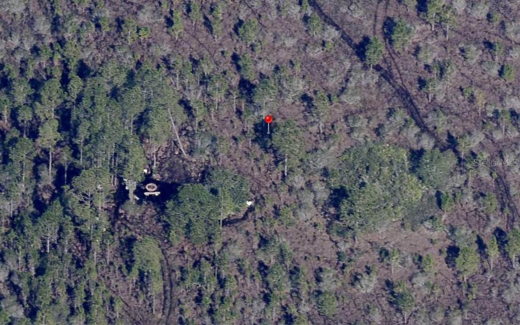HOLOPAW GROVES RD, SAINT CLOUD, FL, 34771